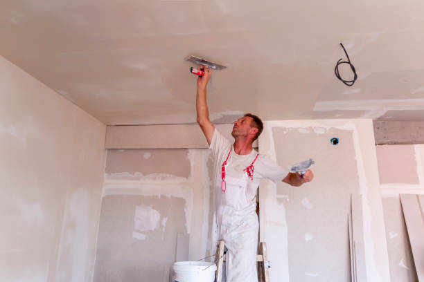 Best Acoustic Drywall Installation  in Plandome, NY